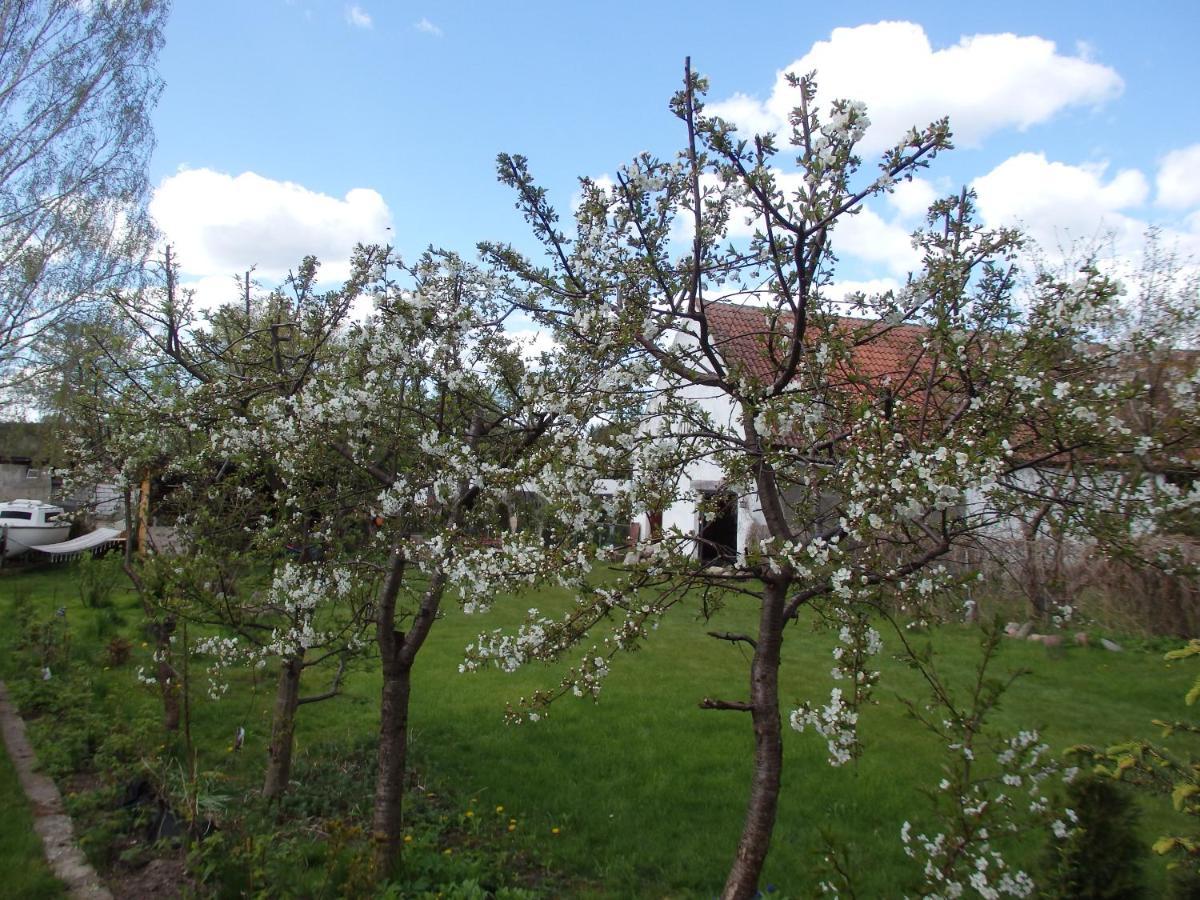 Krakowskie Mazury Gradzkie  Экстерьер фото