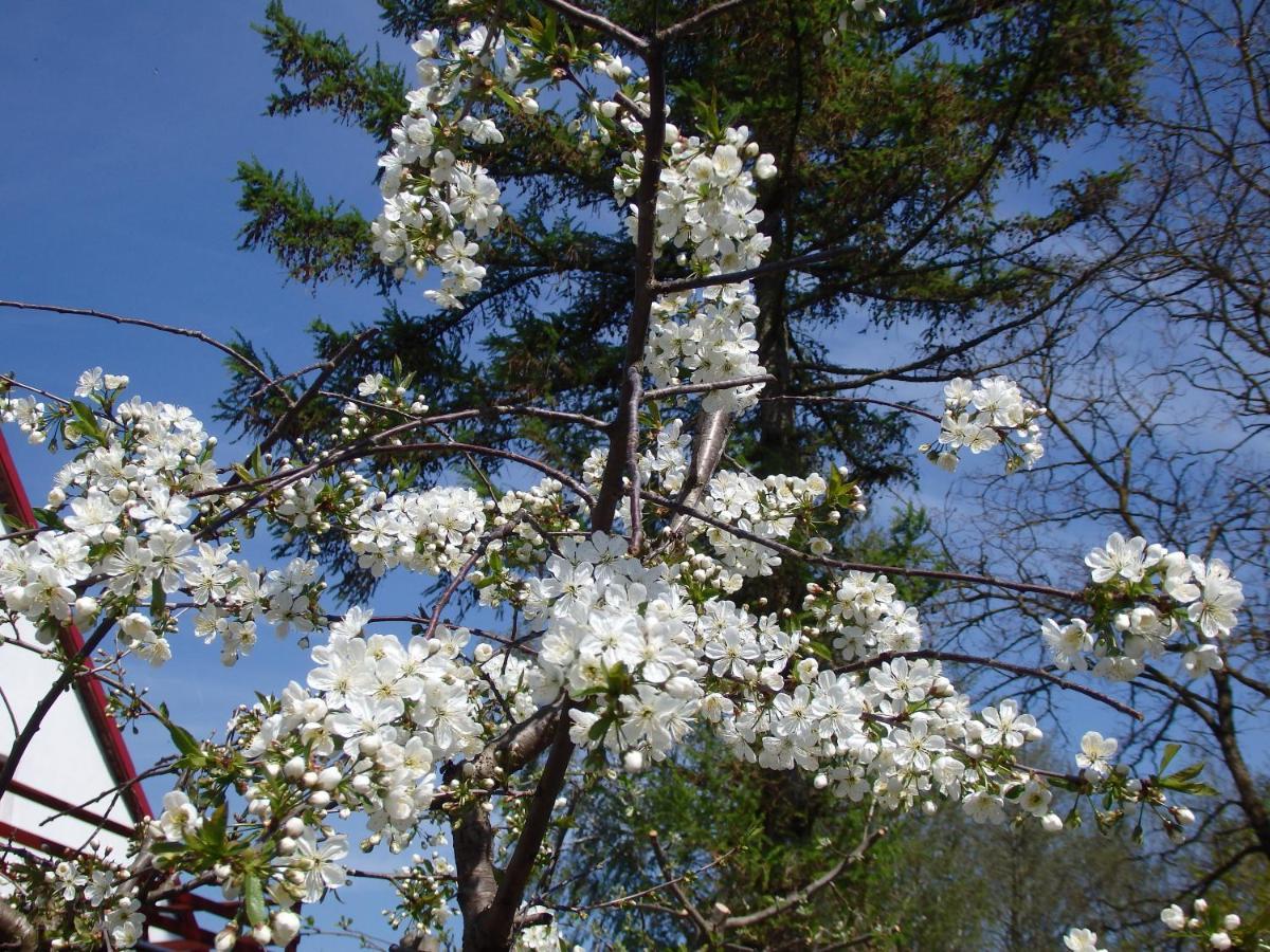 Krakowskie Mazury Gradzkie  Экстерьер фото