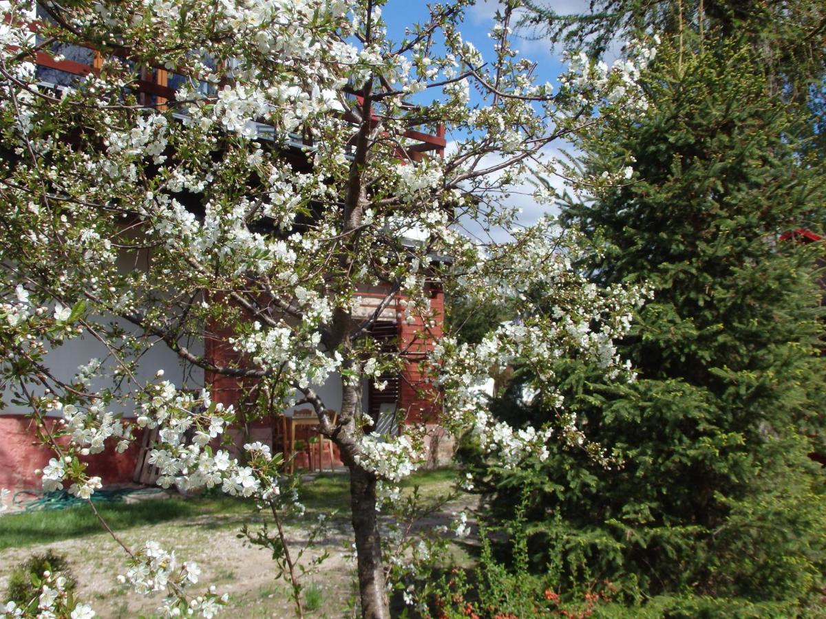 Krakowskie Mazury Gradzkie  Экстерьер фото